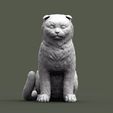 scottish-fold-cat-3d-model-32c1cac919.jpg Scottish fold cat 3D print model