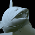 zander-statue-4-mouth-open-48.png fish zander / pikeperch / Sander lucioperca open mouth statue detailed texture for 3d printing