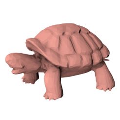 Turtle-low-poly0000.jpg Черепашка с низким уровнем поли