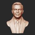 15.jpg George Clooney 3D print model