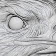 60.jpg Eagle
