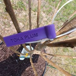 IMG_20230523_134650_756.jpg Toka Plum tree identification tag