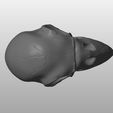 Parrot skull 2 V01-01.jpg STL file Parrot skull・3D printable design to download