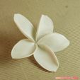 02a.jpg flowers: Plumeria - 3D printable model