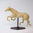 001 MG_9765_1.jpg Jointed Horse