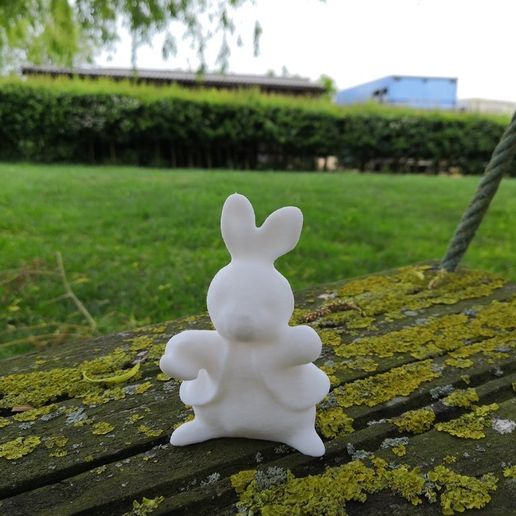STL file Peter Rabbit 🐇 ・3D print model to download・Cults