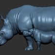 Rhino (11).jpg Rhino