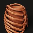 D7.12.jpg Ribcage Skeleton Planter | Gothic Anatomy Flower Pot | Dark Aesthetic Decor 3D Print