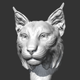 02.png Lynx head AM18 3D print model