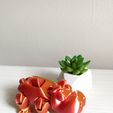 WhatsApp-Image-2023-05-11-at-8.14.14-AM.jpeg STL-Datei Hippo Flexi-Läufer・3D-druckbare Vorlage zum herunterladen