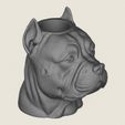 Pit-Bull-Dog-Face-Vase-05.jpg Vaso com cara de cão Pit Bull Modelo 3D pronto para impressão