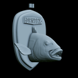 Dentex-head-trophy-32.png fish head trophy Common dentex / dentex dentex open mouth statue detailed texture for 3d printing