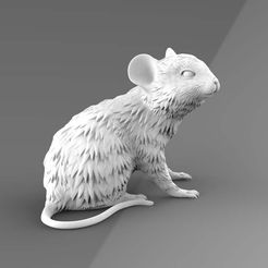 mouse-2.jpg STL file mouse・3D printing model to download, ExplorerPaydi