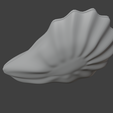 oyster-shell_2.png Oyster Shell