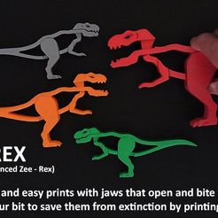 edb612e8ed4d52e60960ede856eba2c2_display_large.jpg Z-REX