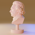 002Câmera.002_001.png Albert Einstein bust