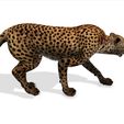 K.jpg DOWNLOAD Cheetah 3d model - animated for blender-fbx-unity-maya-unreal-c4d-3ds max - 3D printing Cheetah - LEOPARD - RAPTOR - PREDATOR - CAT - FELINE