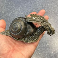 8zMms3eh5e0.jpg CARACOL REINA, CARACOL REINA EXTRATERRESTRE