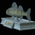 zander-statue-4-open-mouth-1-13.png fish zander / pikeperch / Sander lucioperca  open mouth statue detailed texture for 3d printing