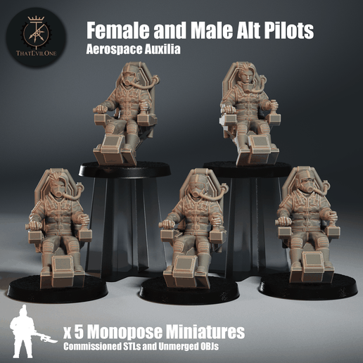Aerospace Pilot with Female & Male Variants - Commissioned