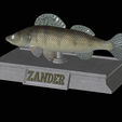 Zander-money-6.png fish sculpture of a zander / pikeperch with storage space for 3d printing