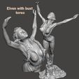 bust showing.jpg Elven Ballet Series 2 - by SPARX
