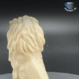 sitting-Lion-3D-Printable-FDM-03.png Lion sitting 3D printable for decoration and Tabletop