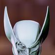 Screenshot_20240320_235752_Nomad-Sculpt.jpg Wolverine skull bust