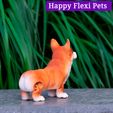 IMG_3064.jpg Corgi dog print in place articulated flexi toy