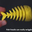 80db37fd88b838bfb39f9d9b7cc591a3_display_large.jpg STL-Datei Fish Fossilz kostenlos・Objekt zum Herunterladen und Drucken in 3D