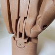 cbc70c5c91cfce24205002be74dd4d41_display_large.jpg Articulated hand