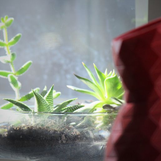 IMG_2376_edit.jpg Venus Vase