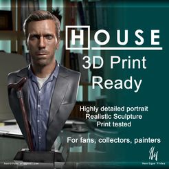 Fundrazr_02-copy.jpg 3D file Dr House - Hugh Laurie Portrait by Henrique Froes・Design to download and 3D print