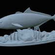 Greater-Amberjack-statue-1-46.png fish greater amberjack / Seriola dumerili statue underwater detailed texture for 3d printing