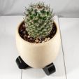 modern_dessert_planter1.jpg Fichier STL gratuit Jardinière de désert moderne・Design pour imprimante 3D à télécharger