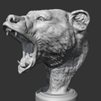 06.png Grizzly Bear Head AM06 3D print model