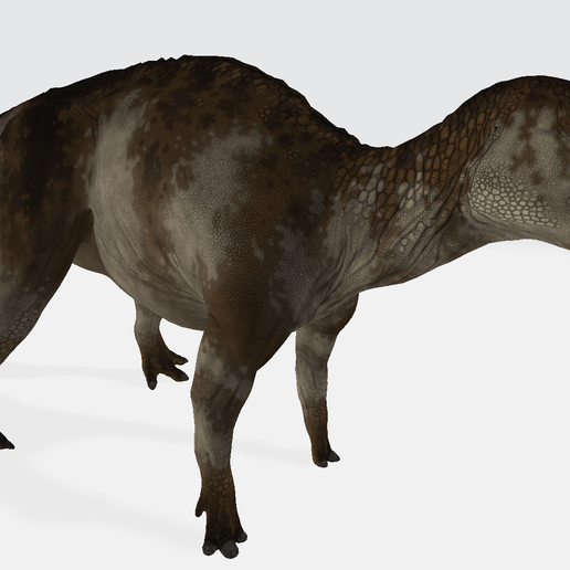 3D file maiasaura・3D printer design to download・Cults