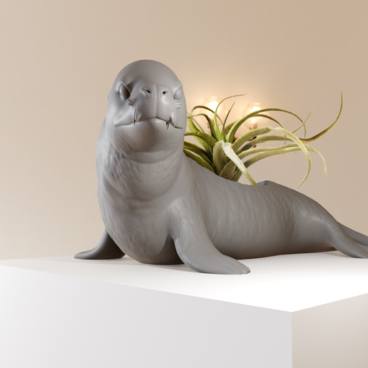 leopard seal planter pot flower vase stl 3D model
