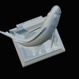 Dentex-trophy-56.png fish Common dentex / dentex dentex trophy statue detailed texture for 3d printing