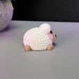 IMG_3951.jpg Cute Sheep