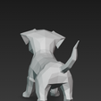 lqT@-shsh@-2026-04-06-224724.png Little dog