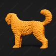 2443-Bouvier_des_Flandres_Pose_03.jpg Bouvier des Flandres Dog 3D Print Model Pose 03