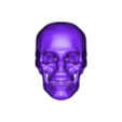 skull - OBJ.obj 3D Model of Skull with Brain and Brain Stem - best version