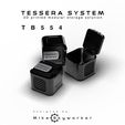 IMG_9058.jpg TB554 - Modulare Aufbewahrungsbox für das Tessera-System