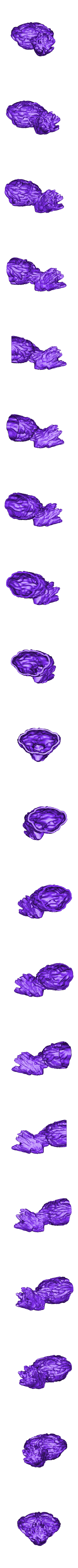 GrootThickShell.stl Groot Bust Sculpture