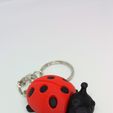 IMG_20200419_140911.jpg COCCINELLE