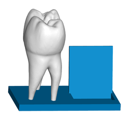 TBfront.png Free STL file Tooth Business Card Holder・3D printable object to download