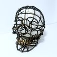 IMG_7418.jpeg Ropes Skull