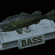 Bass-mount-statue-20.png fish Largemouth Bass / Micropterus salmoides open mouth statue detailed texture for 3d printing