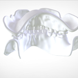 Screenshot_18.png Digital Try-in Full Dentures for Injection Molding